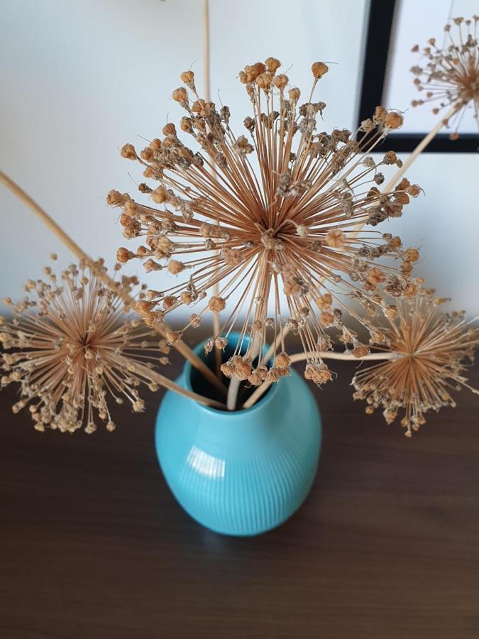 Ferienapartment Voegelsen Vogelsen エクステリア 写真